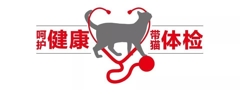 原價288！帶著貓咪來免費體檢吧！