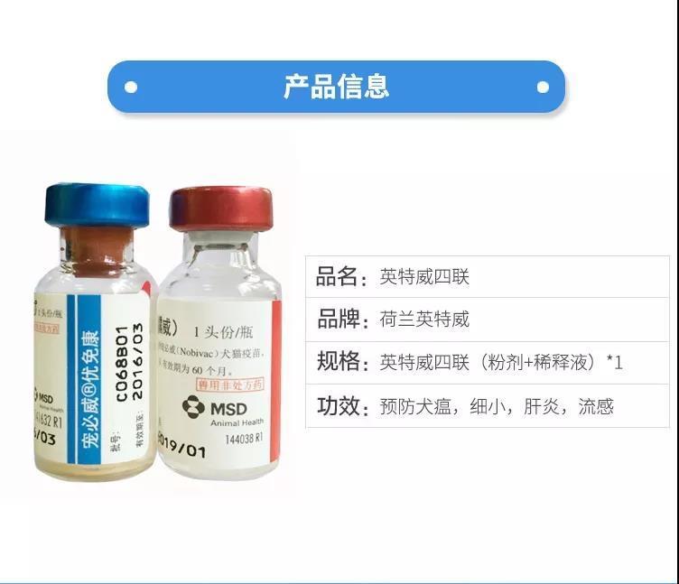英特威四聯(lián)疫苗