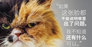 貓咪絕育后性格會改變嗎？