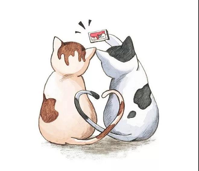 貓咪獨(dú)自在家過年攻略