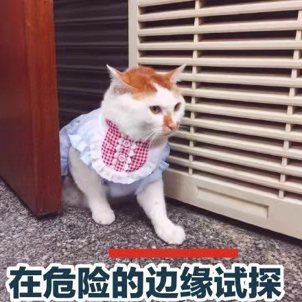 小貓咪尿尿還罵人?走進(jìn)一看不得了！