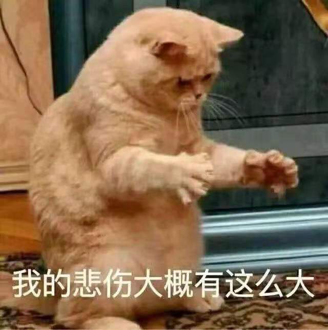 bf93edb69daa9381b018b908e2bf89e