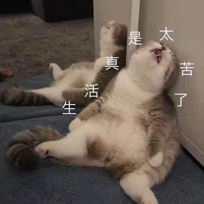 b4a61b44f663c3be613a808aa1333c6