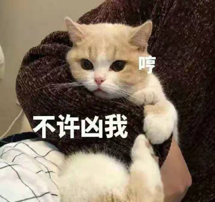 a5c6905323fa2c212022b3dd2ce10d7
