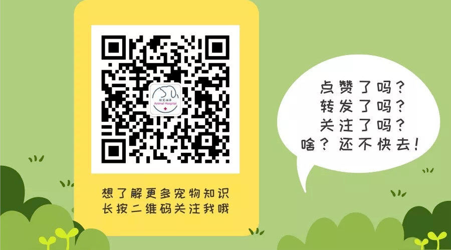 cdf407cd47b3d85c3a402caaa34e908