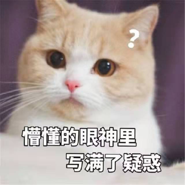 提問：“我家貓咪七歲了，能不能吃幼年貓糧？”
